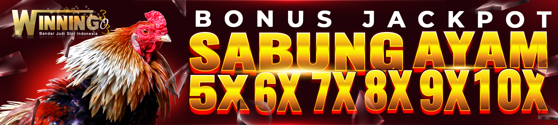 Promo Win 5x 6x 7x 8x 9x 10x Jackpot Sabung Ayam 1920x430