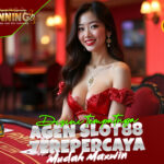 Akun Pro WINNING303 Pilihan Tepat untuk Pemain yang Serius